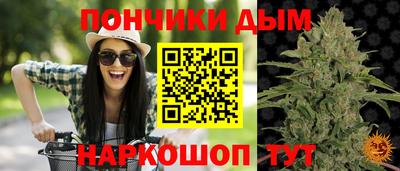 мдпв Гай
