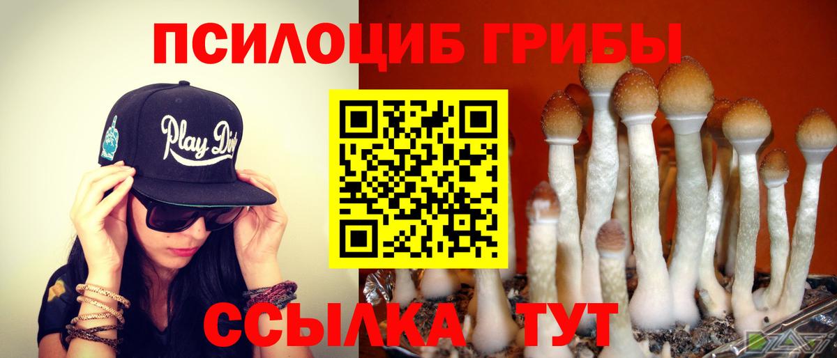Псилоцибиновые грибы Psilocybine cubensis  Вход с VPN  Галлюциногенные грибы ЛСД  Мытищи 